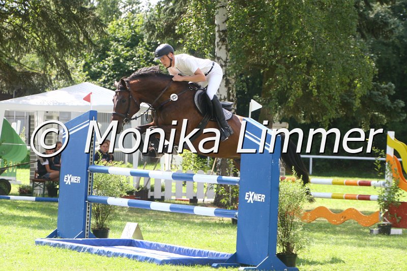 308M0182_Captain Gold_Springpferde_L.JPG